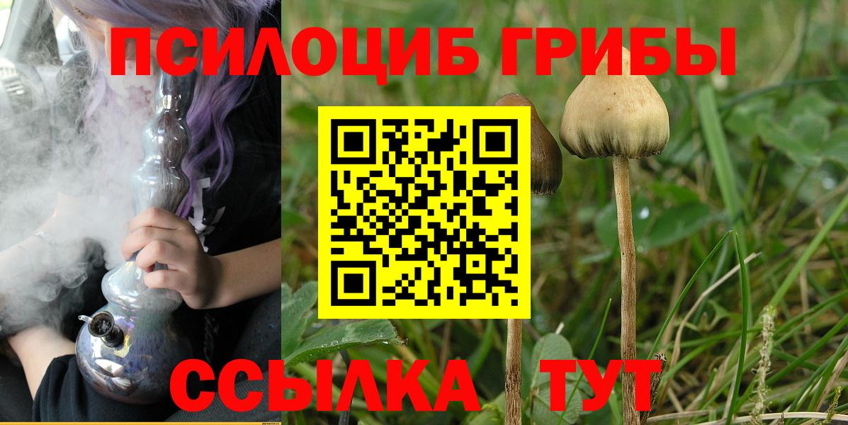 Галлюциногенные грибы ЛСД  Галлюциногенные грибы Magic Shrooms  Вход с VPN  Владимир 