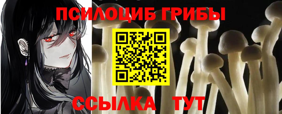 Галлюциногенные грибы прущие грибы Владимир